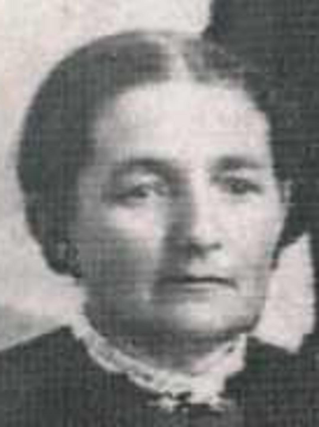 Annie Catherine Andersen (1843 - 1896) Profile